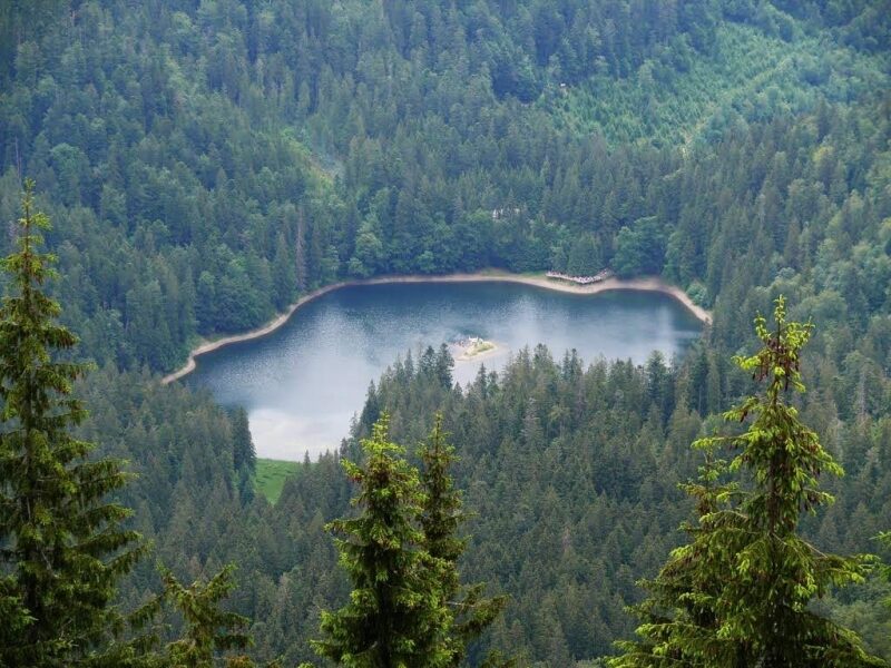 &laquo;Велике будівництво&raquo; прокладе хороші дороги до&nbsp;буковинських Карпат