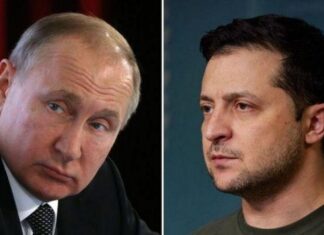 В ОП назвали сроки встречи Зеленского и Путина