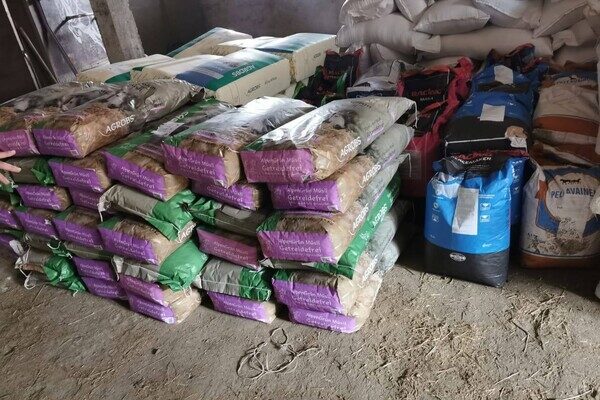 Корм для лошадей, скорые помощи и продукты: в Одессу привезли гуманитарку из Европы Корм для лошадей, скорые помощи и продукты: в Одессу привезли гуманитарку из Европы