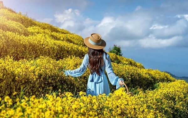 Украинцам обещают теплый май: свежий прогноз Украинцам обещают теплый май: свежий прогноз
