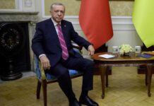 Ердоган розіграв путіна у Львові, — Піонтковський