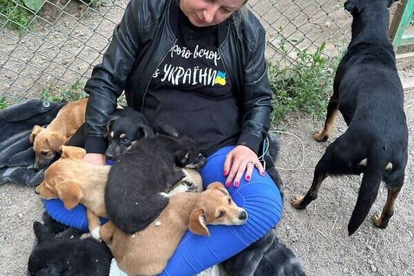 В Одессу привезли первых спасенных животных из Херсона: как помочь В Одессу привезли первых спасенных животных из Херсона: как помочь