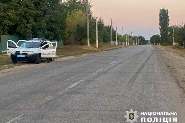 В Одесской области произошло необычное ДТП с участием коровы В Одесской области произошло необычное ДТП с участием коровы