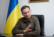 Вениславский объяснил каких женщин будут касаться ограничения на выезд за границу
