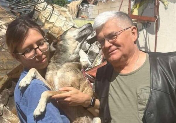 Альбуса нашли: собака директора Одесского зоопарка снова дома (обновлено) Альбуса нашли: собака директора Одесского зоопарка снова дома (обновлено)