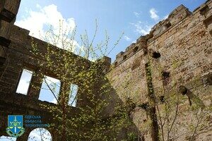 В Одесской области вернули в собственность государства усадьбу "человека-волка" В Одесской области вернули в собственность государства усадьбу "человека-волка"