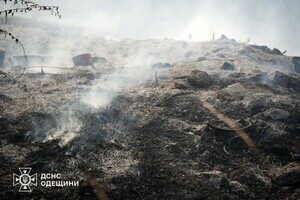 В Одессе чувствовался запах гари: в ГСЧС назвали причину В Одессе чувствовался запах гари: в ГСЧС назвали причину