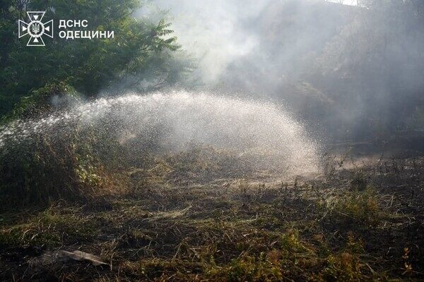В Одессе чувствовался запах гари: в ГСЧС назвали причину В Одессе чувствовался запах гари: в ГСЧС назвали причину