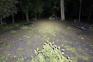 Горит Привоз, есть разрушения в историческом центре: последствия ночного удара по Одессе (обновлено) Горит Привоз, есть разрушения в историческом центре: последствия ночного удара по Одессе (обновлено)