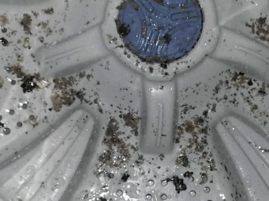 Цвіль у пральній машині: є легкі способи її позбутися