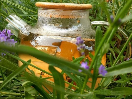 Літній чай, як у дорогому ресторані: рецепт відомої кулінарки