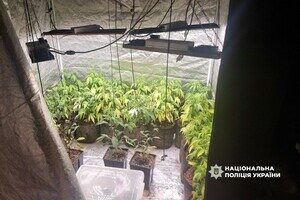Кокаин в багажнике и домашняя плантация конопли: в Одессе разоблачили наркодельца Кокаин в багажнике и домашняя плантация конопли: в Одессе разоблачили наркодельца
